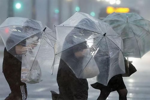 Bão Shanshan đổ bộ vào Nhật Bản khiến 3 người thiệt mạng