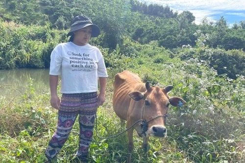 Vụ 'Cấp bò không đủ cân nặng cho hộ nghèo': Kỷ luật khiển trách chủ tịch UBND xã