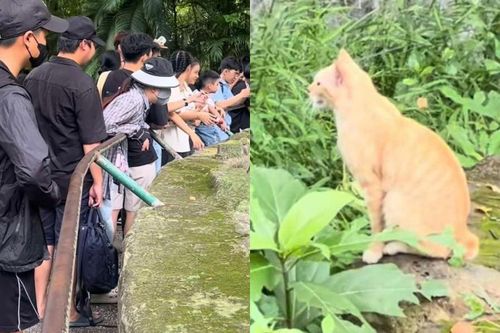 Đi chơi Thảo Cầm Viên, khách tham quan bất ngờ với con vật này