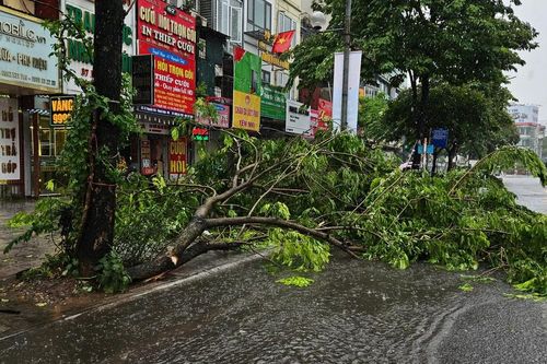 Hà Nội ngổn ngang sau trận giông lốc bất ngờ giữa trưa