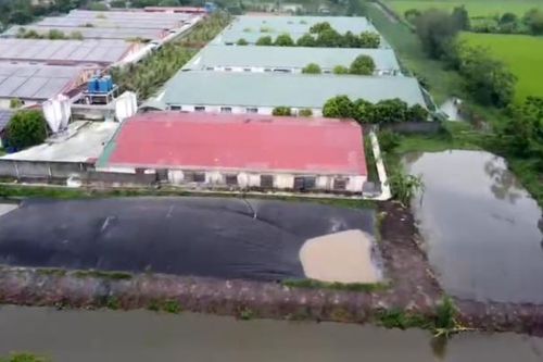Thái Bình: Yêu cầu Công ty CP Thương mại dịch vụ Đông Á tháo dỡ công trình vi phạm môi trường, đất đai
