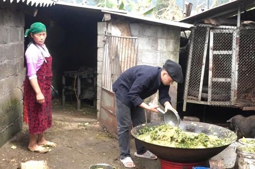 Hành trình chạm vào ước mơ đại học của chàng trai nghèo người Mông ở Hà Giang