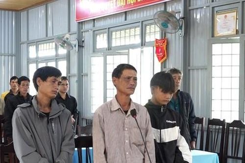 Phá rừng tự nhiên, 3 đối tượng lĩnh tổng 6 năm tù