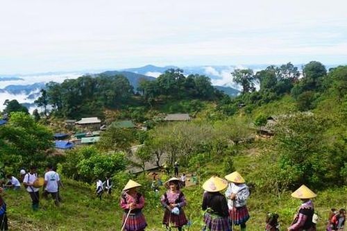 Hành trình 'vá' rừng ở Hang Kia - Pà Cò
