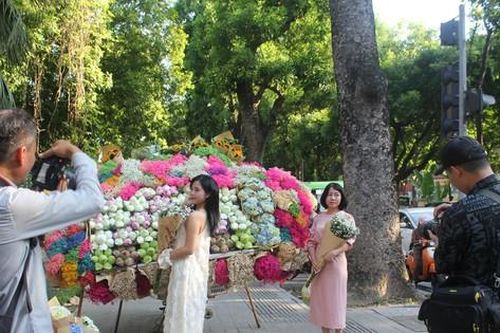 Nhếch nhác con đường đẹp nhất Hà Nội nhiều 'nàng thơ' đổ xô check-in