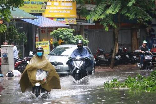 Hà Nội: Cơn mưa dông bất chợt khiến phố ngập thành sông, cây đổ hàng loạt
