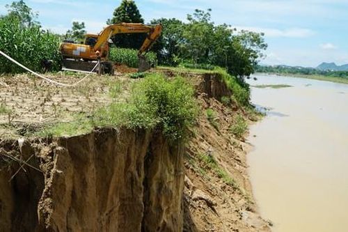Bờ sông Chu ở Thanh Hóa sạt lở nghiêm trọng