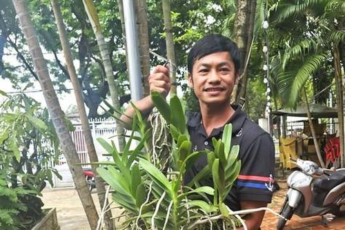 Tìm được loài lan quý hiếm nhờ… bị voi rừng đuổi