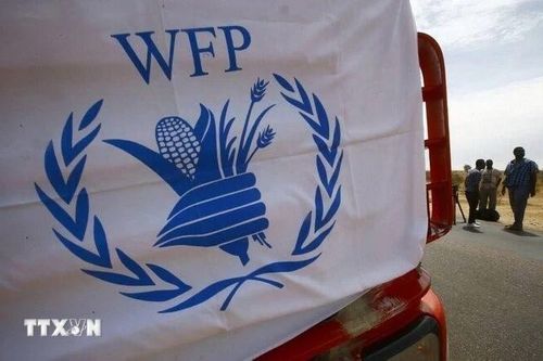 Xung đột Hamas-Israel: WFP tạm dừng hoạt động di chuyển của nhân viên tại Gaza