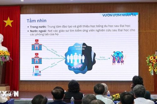 Kết nối cộng đồng khởi nghiệp Đà Nẵng và thủ đô Seoul của Hàn Quốc