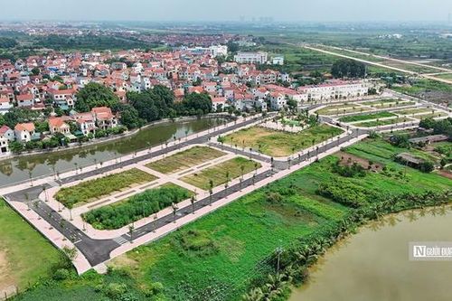 Giá khởi điểm quá thấp tạo cơ hội 'trục lợi' trong các phiên đấu giá đất
