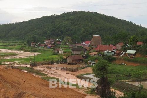Kon Tum có 5 dự án đầu tư vướng đất rừng