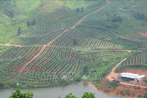 Gọi vốn cho tài trợ xanh: Không chỉ có 'màu hồng'