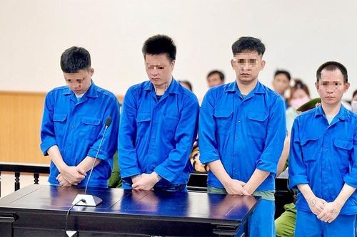Chung nhau bọc ma túy, chia nhau 40 năm tù