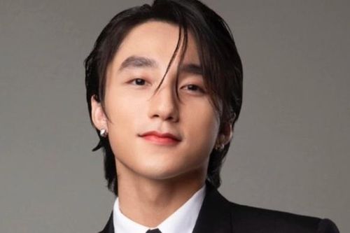 Sau loạt nghệ sĩ biểu diễn dưới cờ ba sọc, cộng đồng mạng tán dương Sơn Tùng MTP về lòng yêu nước