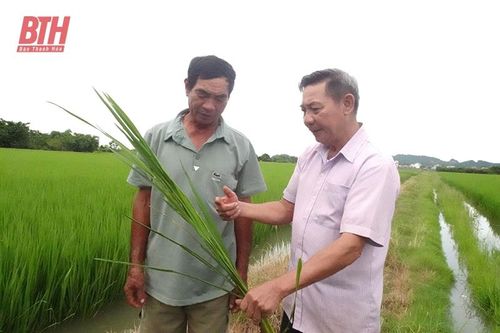 Hồi sinh 'đất chết'