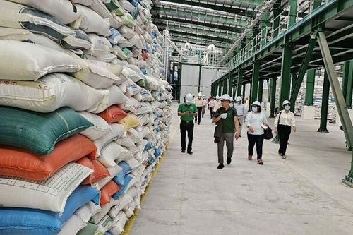 An Giang tập trung hoàn thành chương trình công tác năm 2024