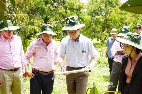 Ưu tiên sản xuất nông nghiệp hữu cơ