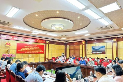 Tỉnh đoàn giám sát việc triển khai Luật Thanh niên và Chiến lược phát triển thanh niên