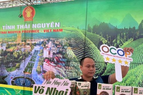 Chuẩn bị các gian hàng trong khuôn khổ Hội nghị 'Gặp gỡ Thái Lan'