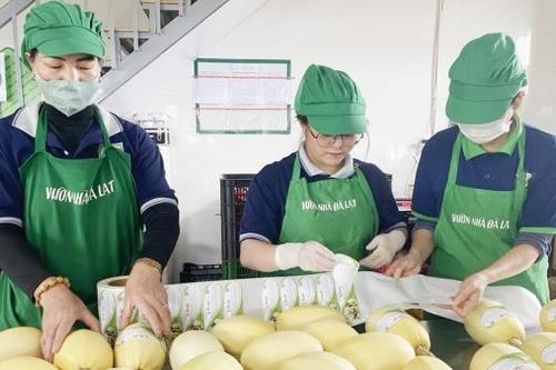 Để đạt tốc độ tăng trưởng trồng trọt 5,5%/năm
