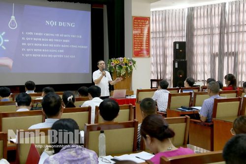 Tập huấn, bồi dưỡng kiến thức về khai thác, phát triển thương hiệu sản phẩm OCOP