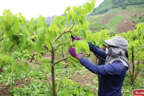 Ở đâu có phụ nữ, ở đó có hoạt động hội