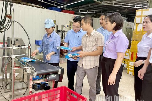 'Vốn mồi' giúp cơ sở công nghiệp nông thôn phát triển