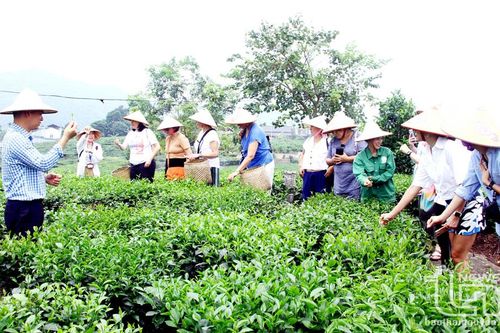 Gắn kết phát triển du lịch với nông nghiệp, nông thôn