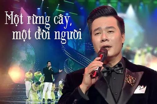 Một rừng cây, một đời người