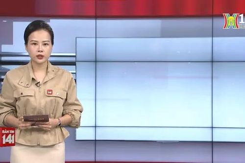 Bản tin 141 | 29/08/2024