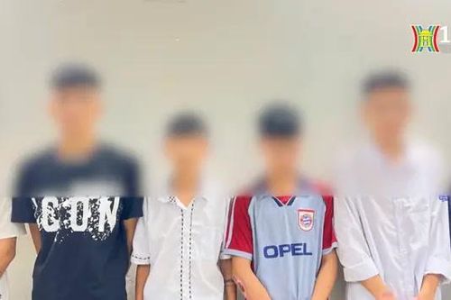 Bắt nhóm thiếu niên 'chặt, cướp biển số xe máy'