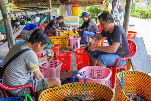 Toàn diện phục vụ nông dân