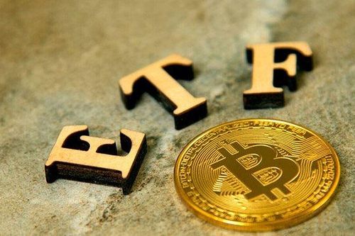 Bitcoin tăng giá, số lượng triệu phú tiền số tăng tới 95%