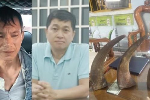 Những phi vụ lừa đảo khó tin nhưng có thật (kỳ cuối)