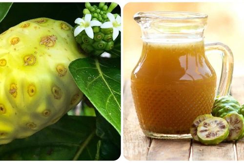 Cách sử dụng trái nhàu tươi tốt cho sức khỏe
