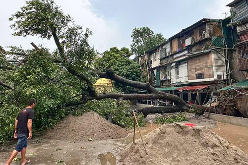 Hà Nội mưa lớn kèm dông lốc, cây cổ thụ và trụ đèn giao thông đổ la liệt