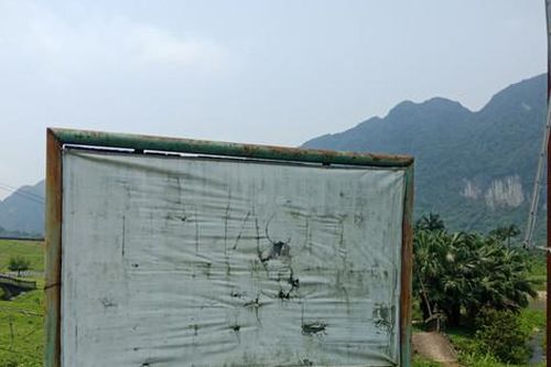 Nữ giám đốc lừa đảo bằng 'dự án vẽ'