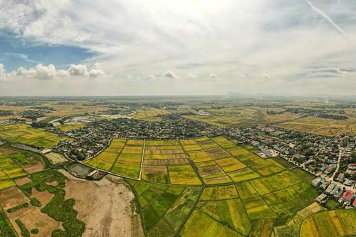 Rực rỡ màu sắc trên những cánh đồng lúa chín ở Hà Tĩnh