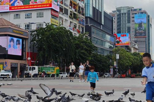 TP Hồ Chí Minh rực rỡ cờ hoa chào mừng Quốc khánh 2/9