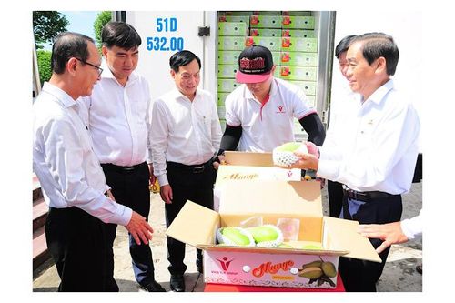 Cần Thơ nâng cao giá trị trái cây xuất khẩu
