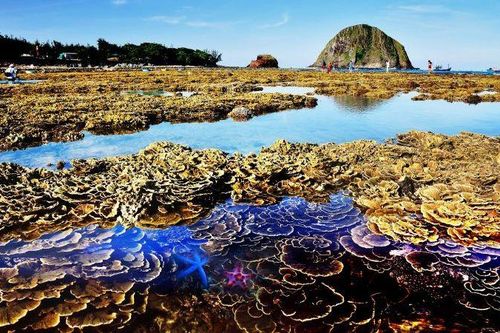 Phú Yên quyết định thành lập Công viên địa chất