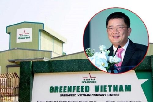 Đại gia nào đứng sau GreenFeed Việt Nam nợ 'khủng' 5.000 tỷ?