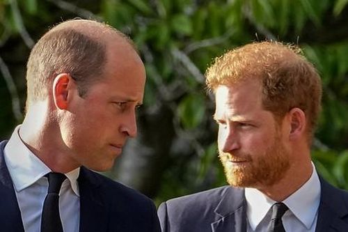 William gặp Harry