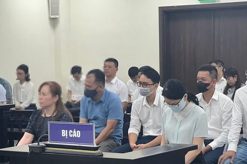 Vụ 'dìm giá' đất đấu giá ở Hà Nội: Cựu Chủ tịch Tập đoàn Vimedimex bị đề nghị mức án đến 42 tháng tù
