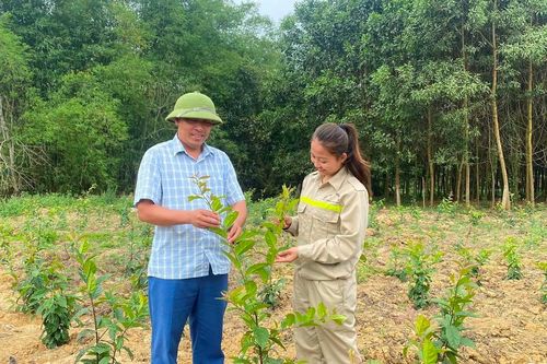 Ứng dụng khoa học công nghệ bảo vệ nguồn gen cây, con bản địa Nghệ An