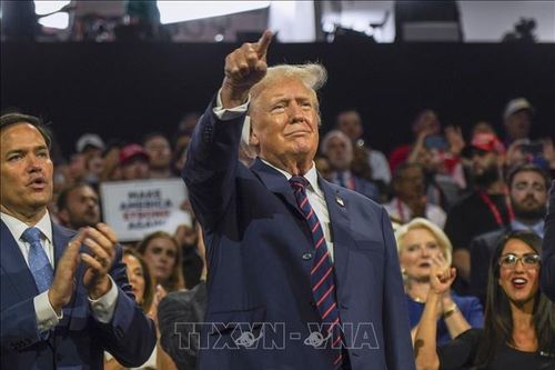 Bầu cử Mỹ 2024: Ông Trump tuyên bố sẽ miễn phí thụ tinh trong ống nghiệm nếu đắc cử