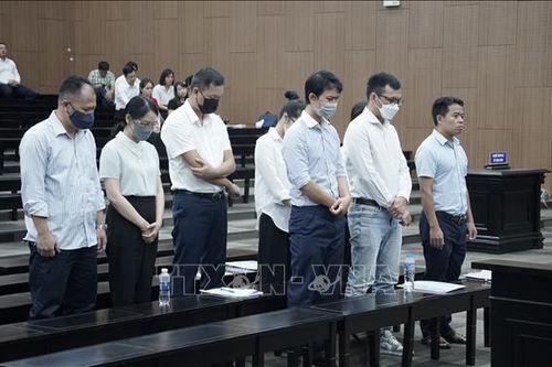 Cựu Chủ tịch Vimedimex Nguyễn Thị Loan bị đề nghị từ 36 - 42 tháng tù