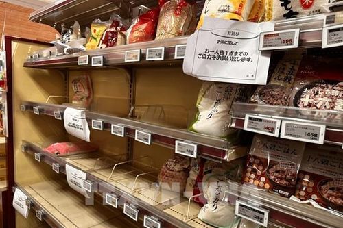 Nhật Bản: Giá gạo tại Tokyo tăng mạnh lần đầu tiên sau 20 năm