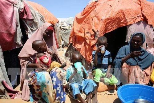 ICRC: Hơn 71.000 người mất tích tại châu Phi do xung đột vũ trang, bạo lực, thiên tai và di cư